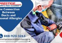 The Connection Between Ducts and Seasonal Allergies