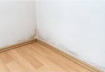 Efficient Recovery with Water Damage Restoration Company Experts